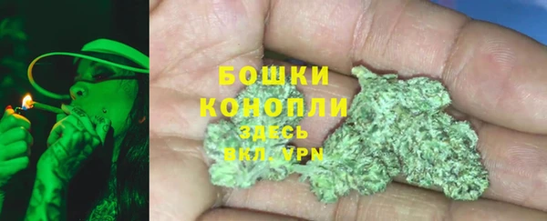 гашик Белоозёрский