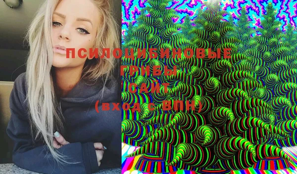 дурь Бугульма