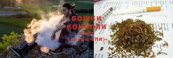 a pvp Белокуриха