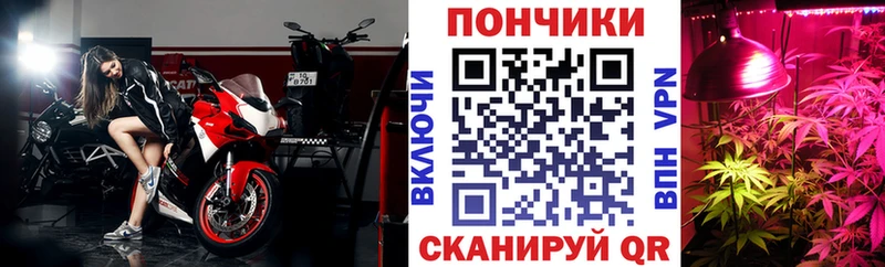 Бошки марихуана THC 21%  darknet телеграм  Горняк 